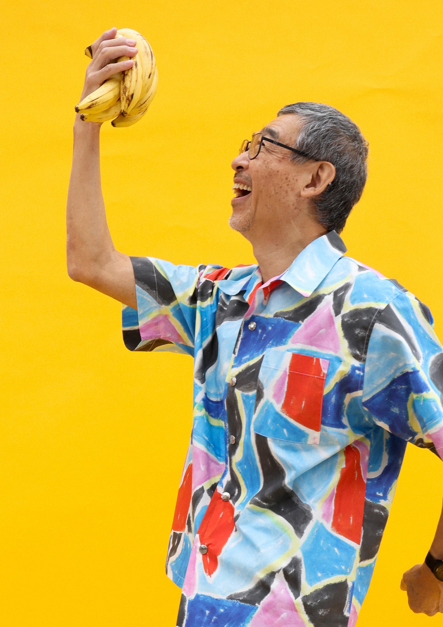 Harlequin Shirt